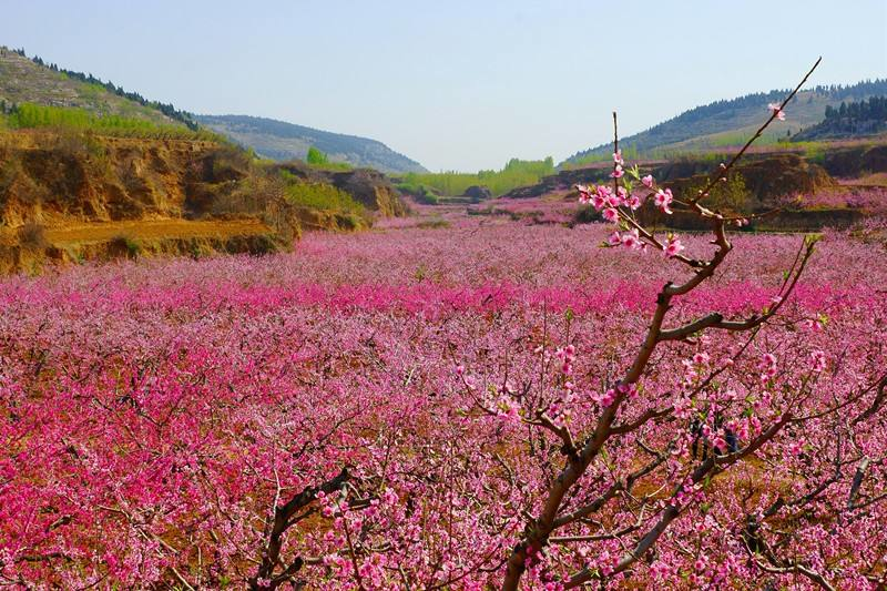 安阳桃花谷拓展训练基地