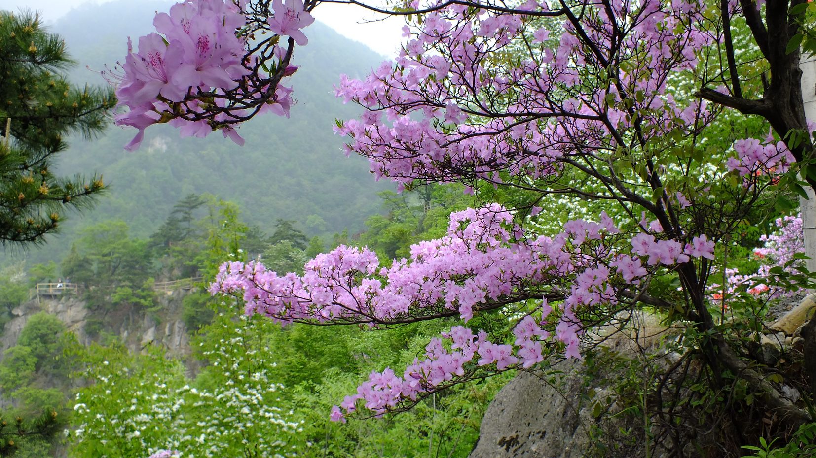 南阳银树沟拓展训练基地